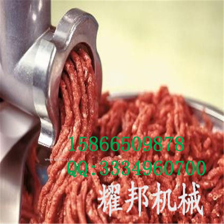 供應(yīng) 多功能不銹鋼絞肉機(jī)